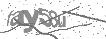 visual captcha